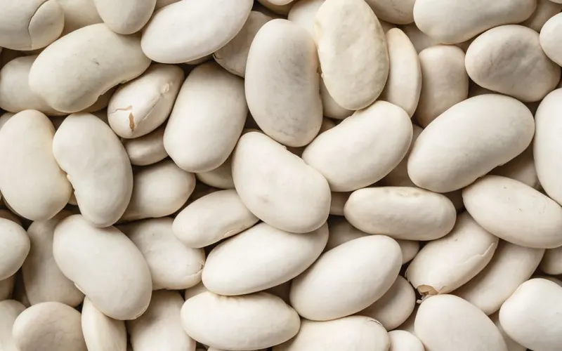 Dried white cannellini beans